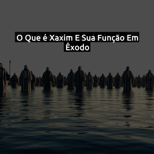 O que é Xaxim e sua função em Êxodo