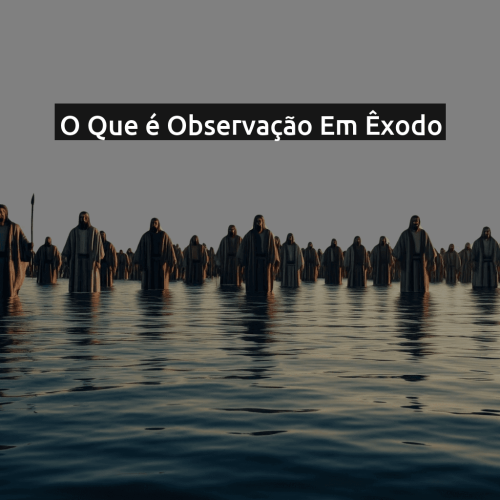 O que é Observação em Êxodo